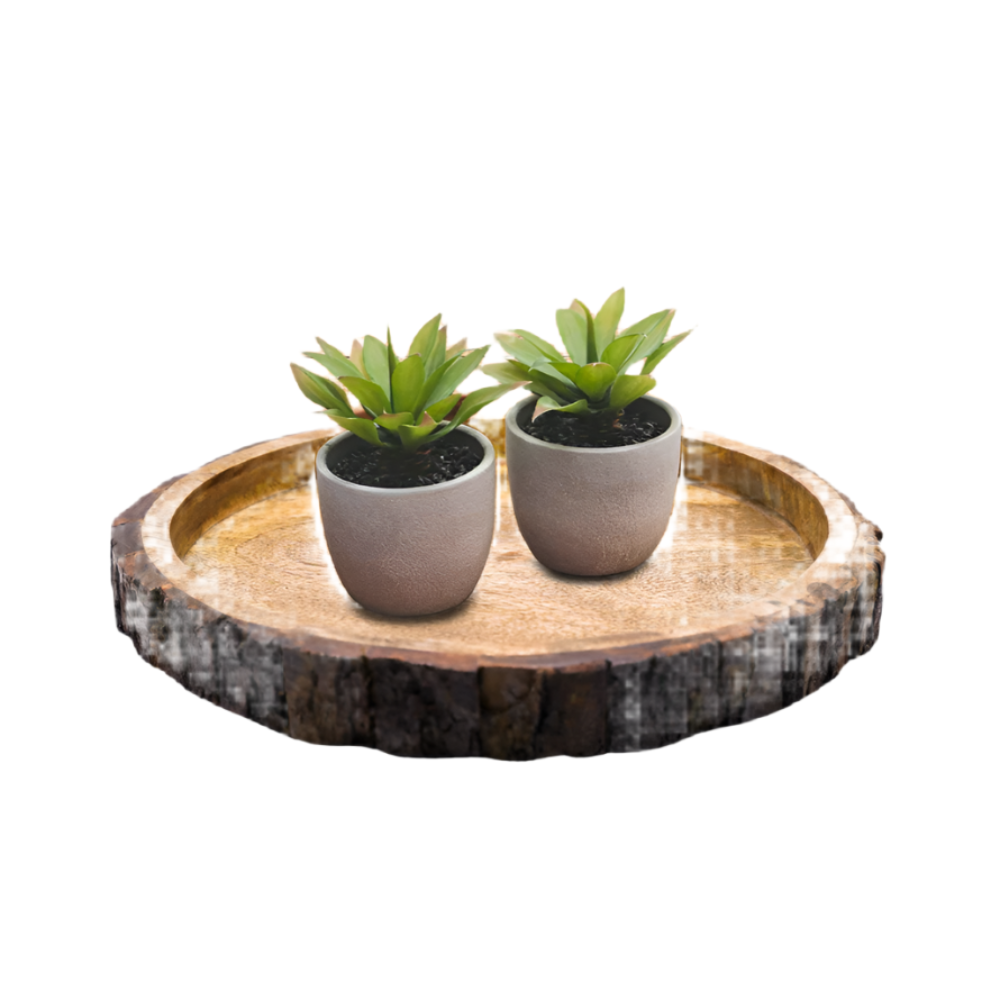 Wooden Kitchenware Sample Kit
